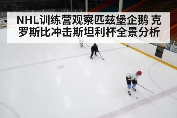 NHL训练营观察匹兹堡企鹅 克罗斯比冲击斯坦利杯全景分析